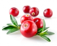 Cranberry