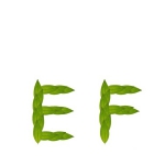 Huiles essentielles E-F
