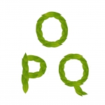 Huiles essentielles O-P-Q