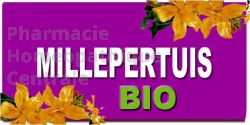 Millepertuis bio - sommeil anti-déprime