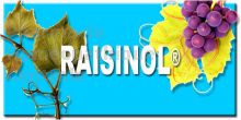 RAISINOL, 60 gélules