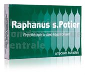 RAPHANUS  POTIER 