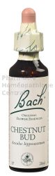 CHESTNUT BUD - Fleurs de Bach N°07, 20 ml