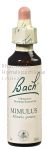 MIMULUS - Fleurs de Bach N°20, 20 ml