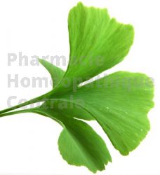 EPS ginkgo biloba mémoire circulation sanguine