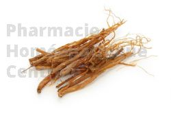 EPS ginseng fatigue chronique