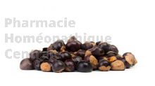 Guarana Extrait Plantes Fraîches - EPS