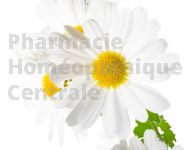 Grande camomille Extrait Plantes Fraîches - EPS