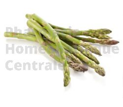 ASPERGE Racine coupée