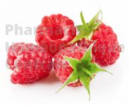 FRAMBROISIER  en vrac (Rubus idéaus)