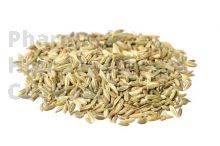 FENOUIL en vrac (Foeniculum officinale)