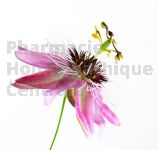 Passiflore Extrait Plantes Fraîches - EPS