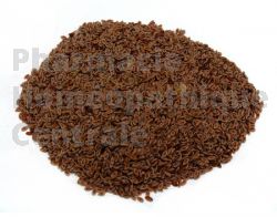 PSYLLIUM NOIR