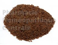 PSYLLIUM NOIR (Graine)