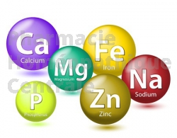 Oligoélément calcium croissance, dents, os chez l'