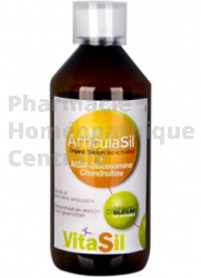 DEXSIL SILICIUM ARTICULATION MSM 500ml