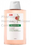 KLORANE SHAMPOING PIVOINE 400ml