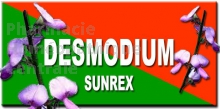 SUN REX DESMODIUM LIQUIDE